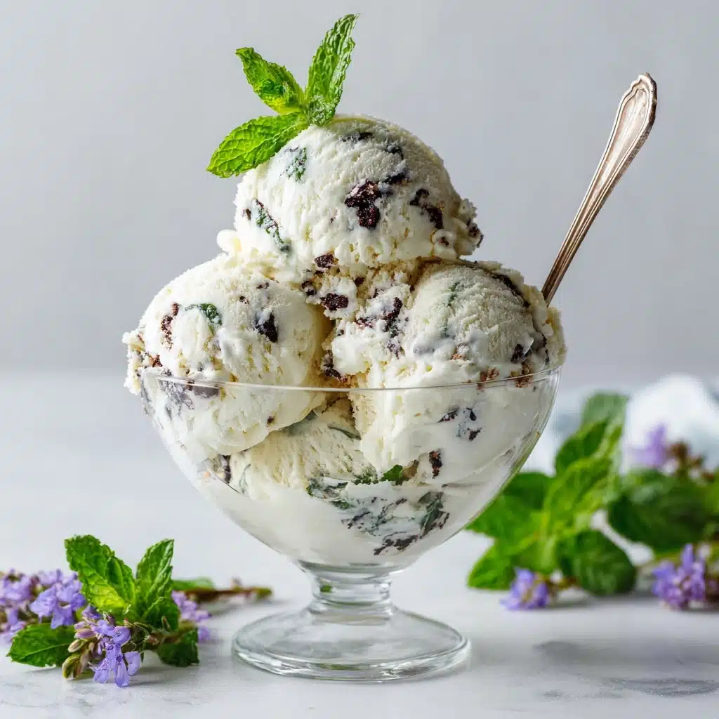Homemade Mint Chocolate Chip Ice Cream Recipe - Recipe Image