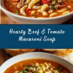 Beef & Tomato Macaroni Soup Recipe