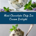 Homemade Mint Chocolate Chip Ice Cream Recipe