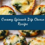 Spinach Dip Cheese Recipe