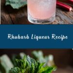 Rhubarb Liqueur Recipe