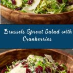 Brussels Sprout Salad with Cranberries and Parmesan Recipe