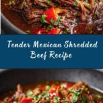 Mexican Shredded Beef Recipe