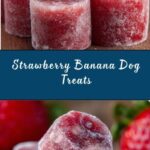 Strawberry Banana Bites for Dogs Recipe