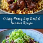 Honey Soy Crispy Beef and Noodles Recipe