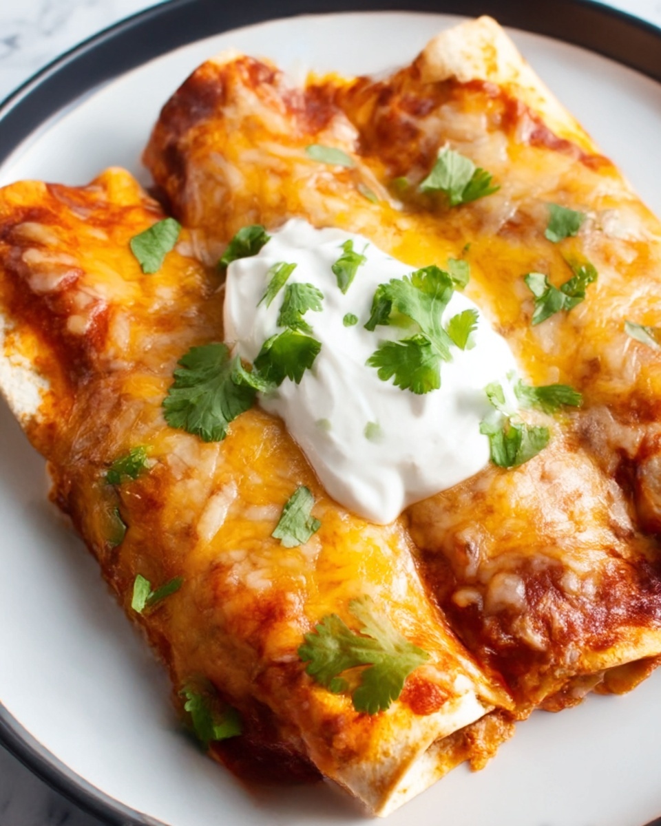 Chicken Enchiladas with Red Sauce Recipe - Recipe Image