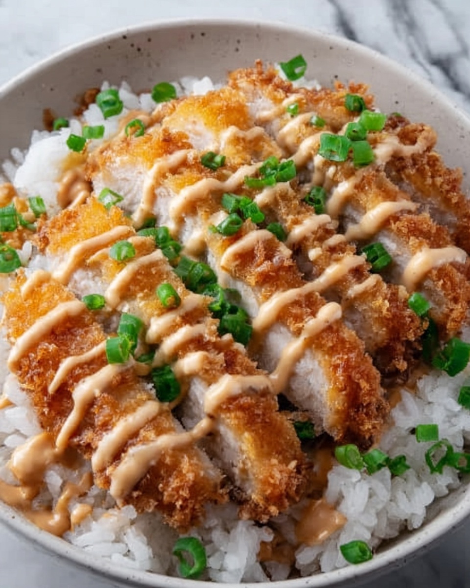 Japanese Katsu Bowls with Tonkatsu Sauce Recipe - Recipe Image